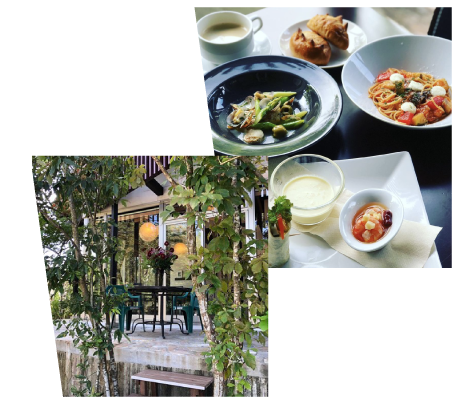 トリエステについて