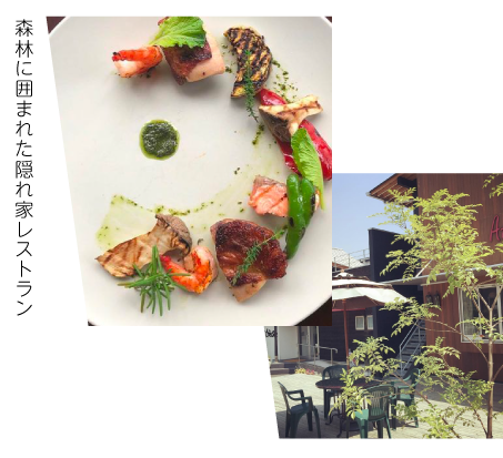 トリエステについて