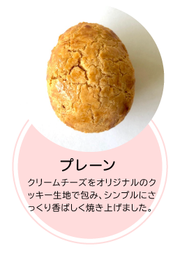プレーン