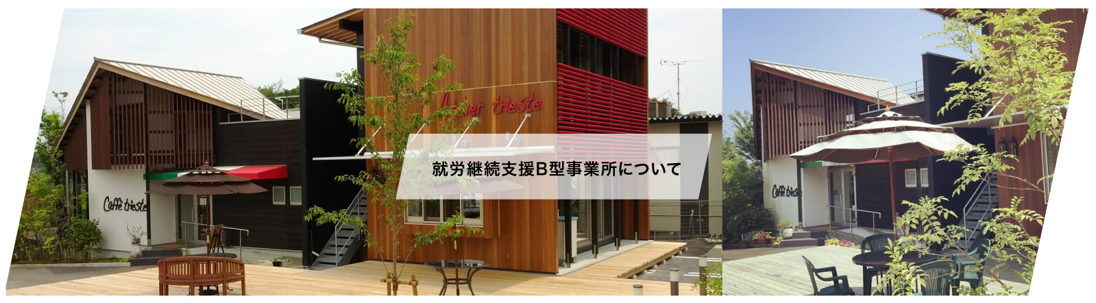 トリエステ 就労支援B型事業所